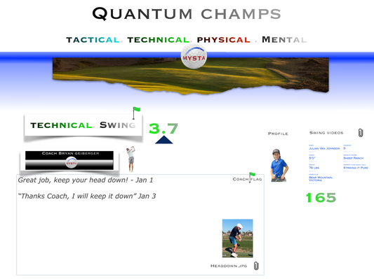 Quantum Coaching Portal - coming